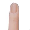 -Nail Model Tool Fake Nail Manicure Bendable for Beginner Display
