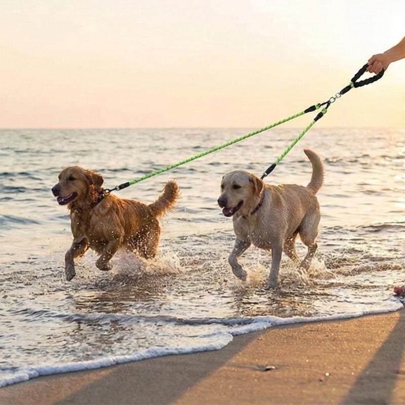 Comfortable Handle Detachable Dog Leashes Reflective Operations Safety Lock and Strong for Daily Outdoor Use