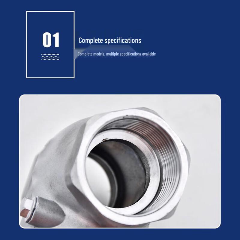 304 Stainless Steel Horizontal Swing Check Valve