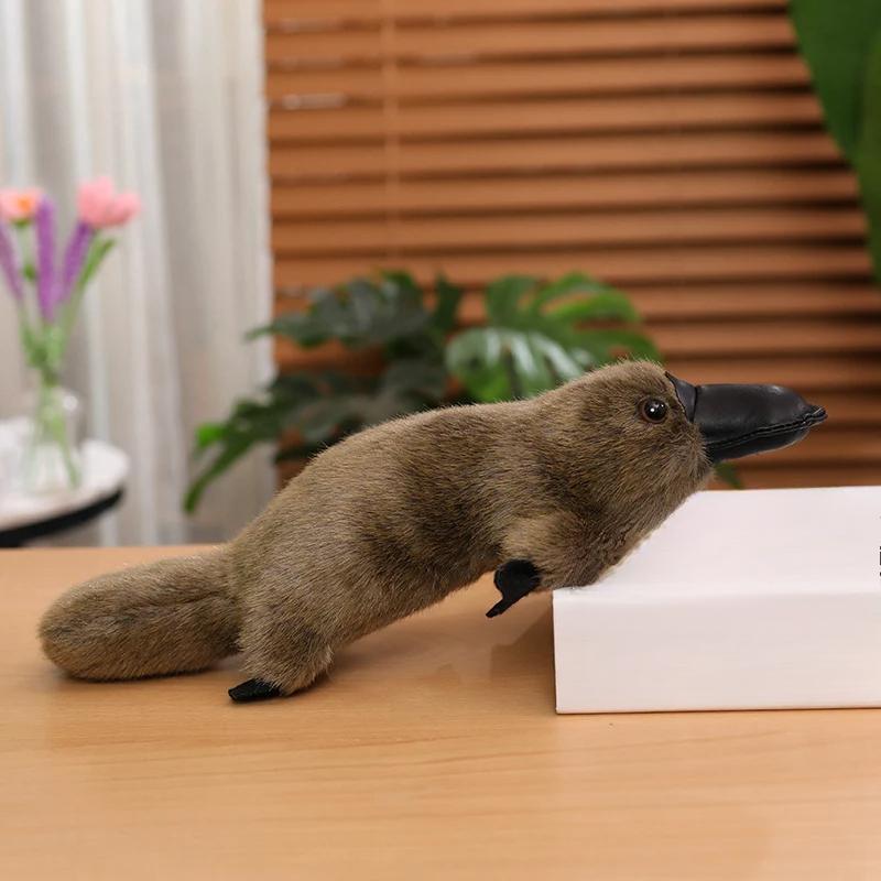 

Новый 1 шт. австралийский зверек милый утконос плюшевая кукла эмуляция утконоса утка орниторинхус мягкие игрушки 30cm