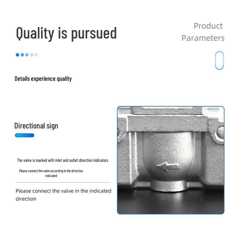 High-Pressure 304 Stainless Steel Pilot Piston Solenoid Valve, 50bar