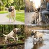 Grid Breathable Pet Mouth Cover Long Snout Fit Dog Bite Guard Pet Mouth Muzzle  Anti Scavenging