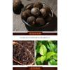 Yunnan Puerh Tea Ripe Tea Tuo Tea Glutinous Rice Fragrance Tuo Tea 1000g/2.2lb