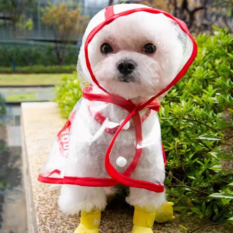 Puppy dog raincoat spring teddy bear special small dog rainy day out clothes poncho waterproof pet clothing