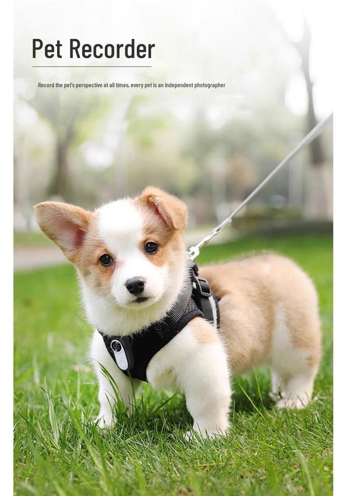 Pet View Camera: Cat & Dog Chest Collar Camera Recorder
