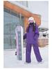 Unisex Windproof Waterproof Insulated Ski Jacket with Hood