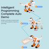 Remote Control Robot, Intelligent Walking Dancing Singing Programmable Robot with Light and Sound,