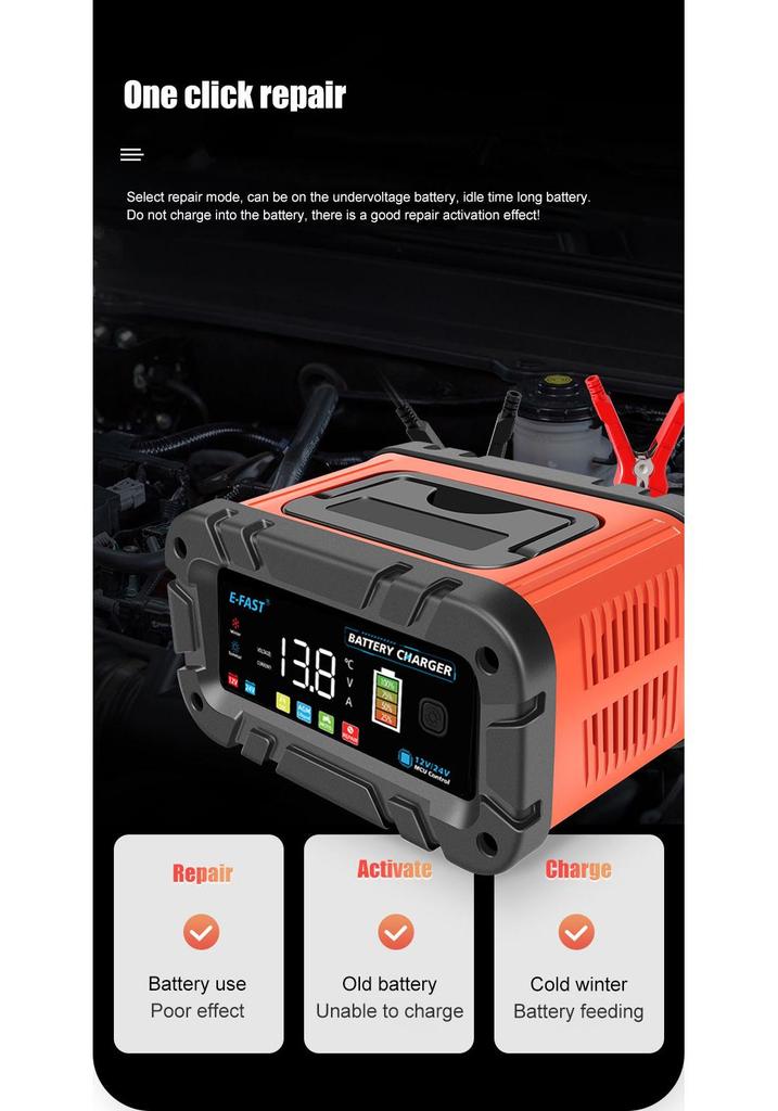 E-FAST High Power Lead-acid & Lithium 12V/24V Battery Charger, 20A/10A