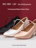 Scarpe Professionali da Ballo per Donna con Tacco Medio-Alto e Suola Morbida per Tango & Valzer