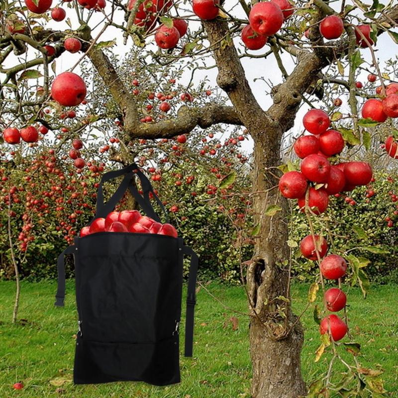 Large Fruit Picking Bag Adjustable Harvest Garden Apron Storage Pouch for Outdoor Orchard, Farm, Garden Easy to Use