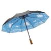 Nanqiao Retro Double-Layer Folding Umbrella
