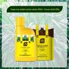 Stanley Dragon Tree Care: Nutrient Solution & General-Purpose Fertilizer for Healthy Green Plants