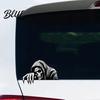 Outdoor Durable Stickers Halloween Skeleton Car Sticker Peeking Decal for Window Bumper Waterproof Vinyl Horror Skull Wall Laptop Decoration Modding