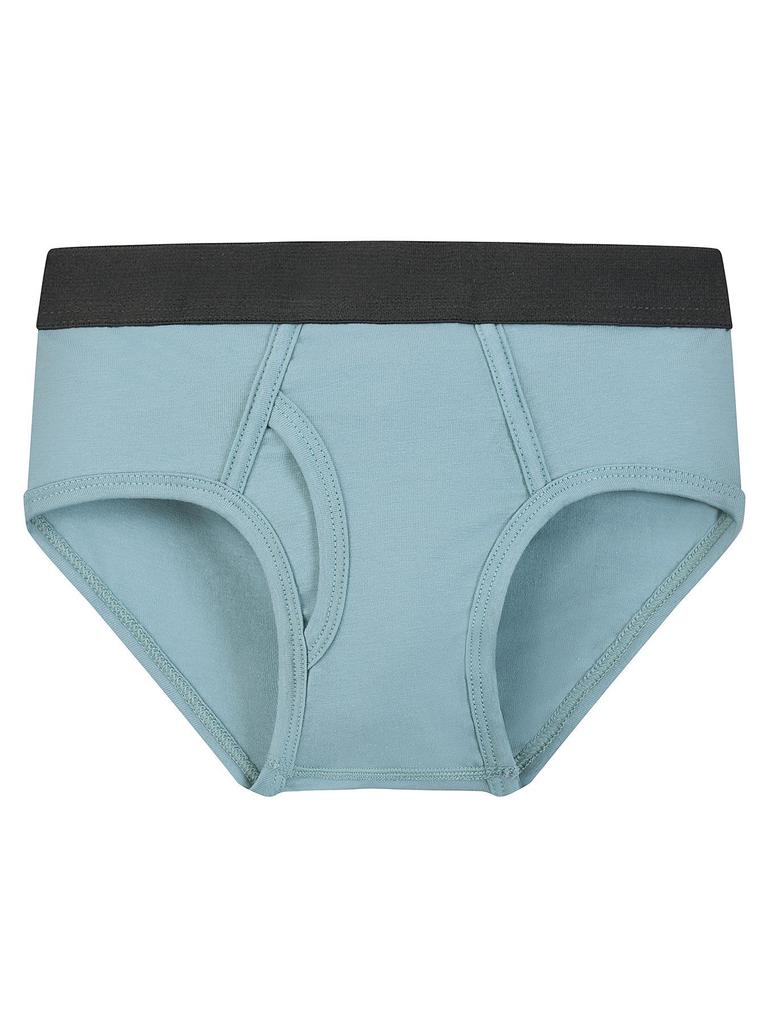 Boys' Combed Cotton Solid Color Elastic Briefs