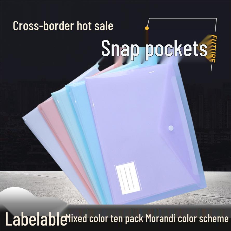A4 Cartoon Transparent Snap Button File Bag with Label Storage