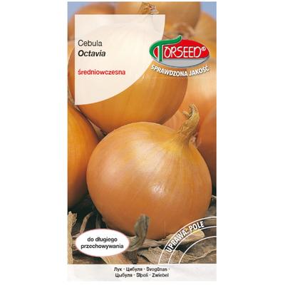 Zwiebel Octavia 5m BAND frische Gemüsesamen PREMIUM