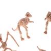 12 Stück Verschiedene Plastik Dinosaurier Fossil Skelett Dino Figuren Kinderspielzeug Geschenk
