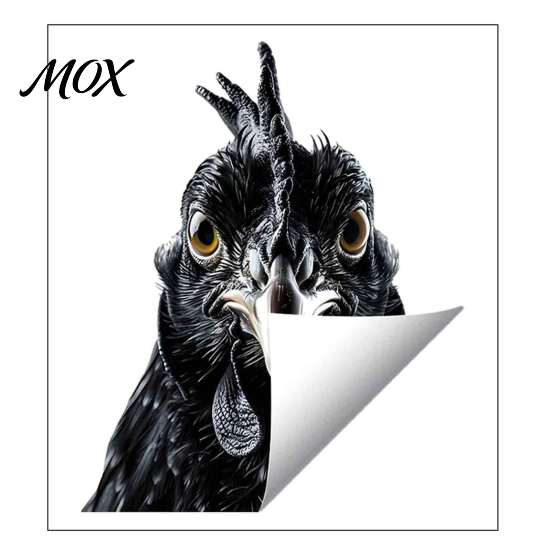 Customizable Poultry Window Film Black White Rooster Stickers, Realistic Farm Chicken Head Interesting Interior Glass Layouts Decals, Waterproof