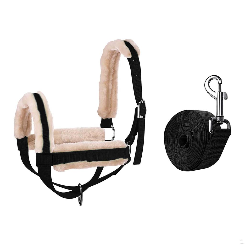 Cattle Bridle And Leading Rope, Calf Bridle, Multi-functional Barn Essential, Male Reins for Horses