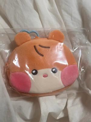 Binini Pouch Used