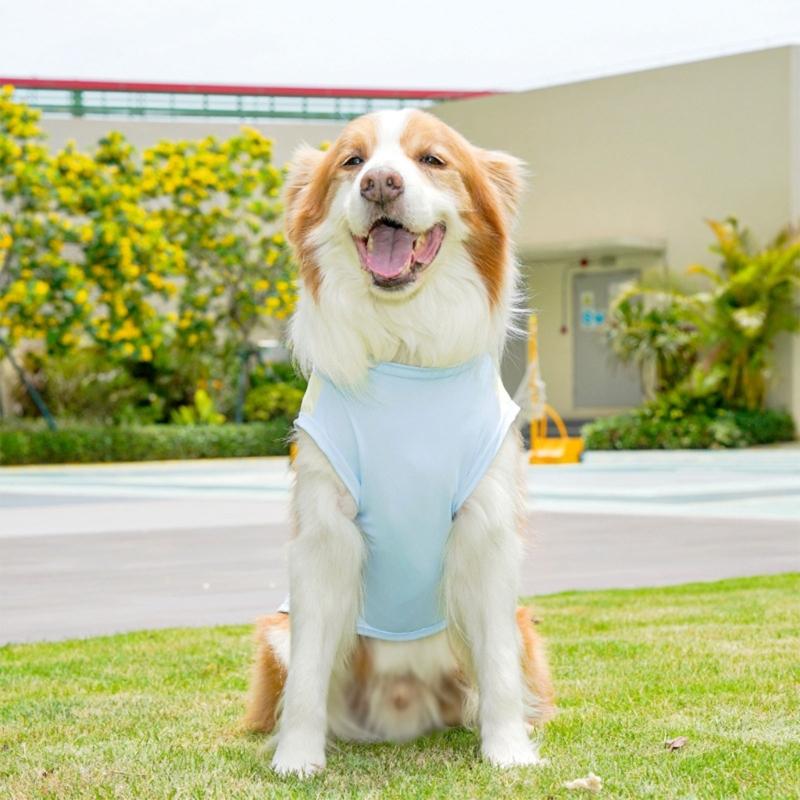 Breathable Mesh Cooling Vest For Small to Large Dog Cats Comfortable Pet Summer Clothes Easy Wear Polyester Pet Apparel