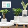Transparent Hydroponic Planter Plastic Water Storage Flower Pot Durable Potted Flower Pot  Garden