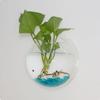 Hemisphere Shape Wall-Hanging Fish Bowl Transparent Hanging Betta Tank  Office Decoration