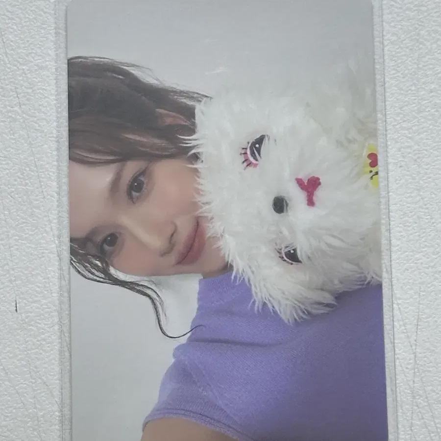 Twice Strategy Sana Beast Focus