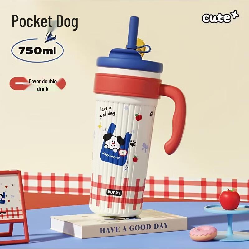 

Shangqi Portable Insulated Straw Water Bottle