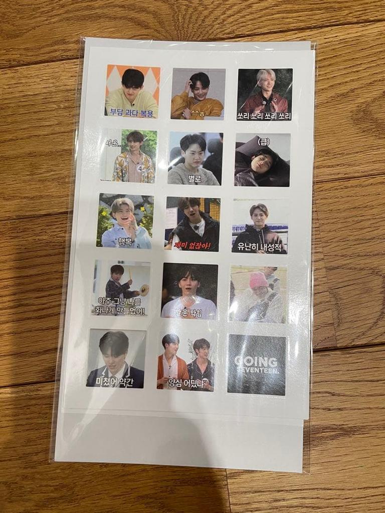 [USED] SEVENTEEN GOING SEVENTEEN Sticker Gose