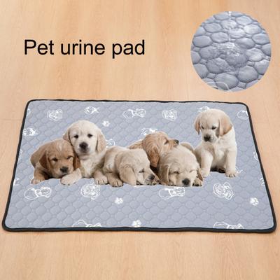Professionelle Anti-Rutsch-Unterseite Auslaufsichere Hundeurinunterlage Pee Training Bettmatte Haustierbedarf