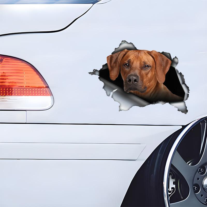 Rhodesian Ridgeback 3D Bryt Muren Bildekal, Vattentäta Vinylmaterial Tillbehör, Intressant För Bilar, Lastbilar, Motorcyklar, Väggar