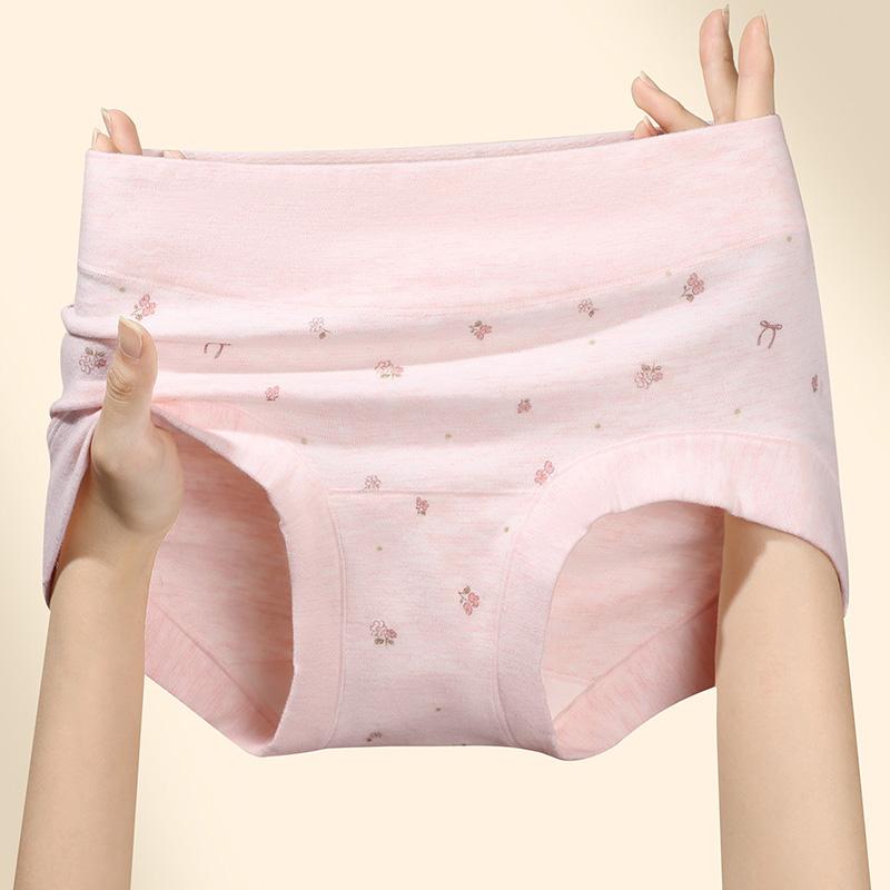 Fentengkan 3-Pack Rural Flower Women's Underwear