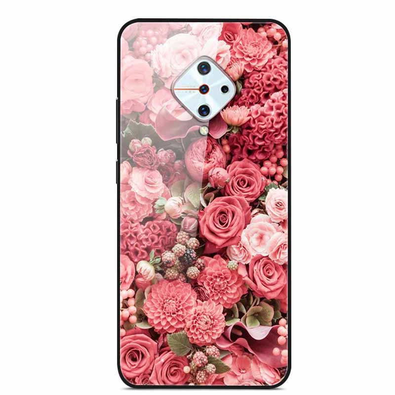 Tempered Glass Case For Vivo V17 Case Russia Glass Back Cover Soft Bumper For Vivo V17 Phone Cases V 17 Funda Y9s S1 Pro Coque