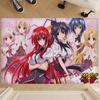 High School DxD Anime Floor Mat INS Style Soft Bedroom Floor House Laundry Room Mat Anti-skid Household Carpets