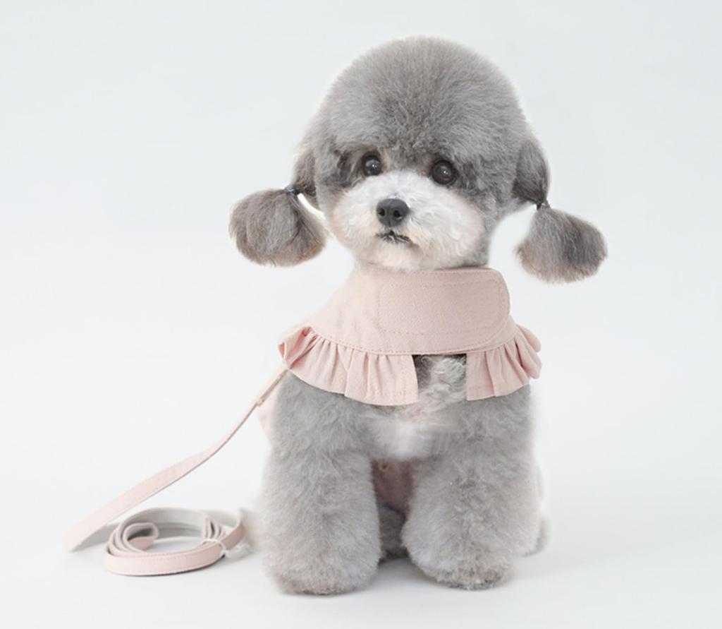 Lady Glamour Frilled Harness with Sparkling Decorative Easy To Put On and Take Includes a Matching Fabric Perfect for Dogs and Perfect for Walking