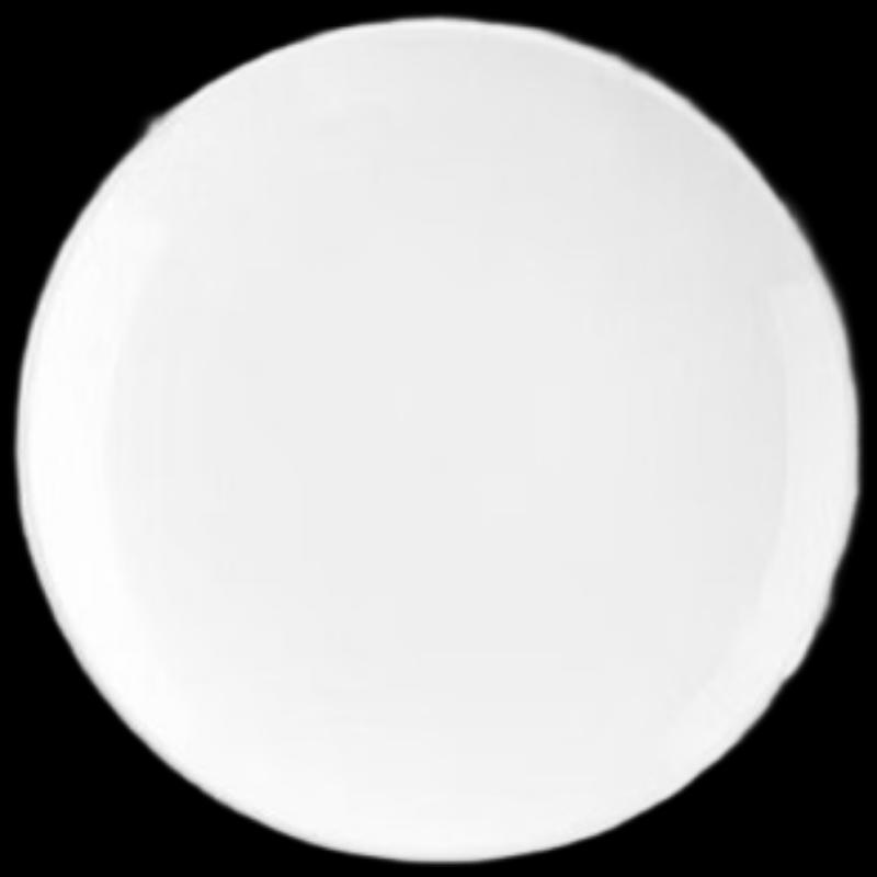 Youxia Glazed Melamine Shallow Dinner Plates, 12-inch, 10-Pack