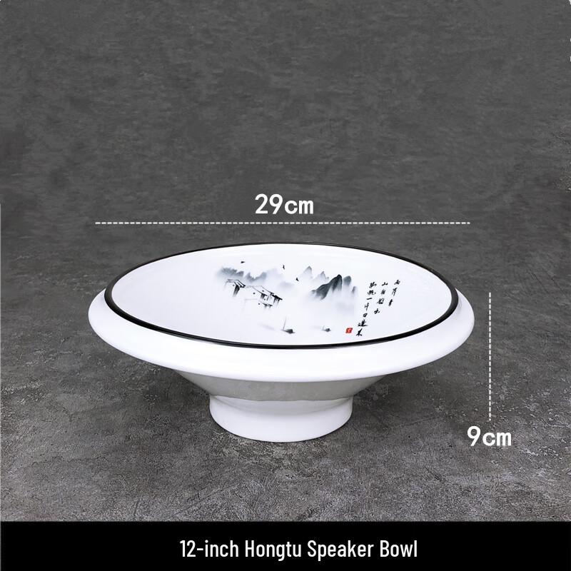 Elegant Irregular Ceramic Dinner Plate