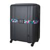 Siffler Suitcase Belt with TS Lock, Number Lock, Marker, Security, Anti-Theft, for International Travel, Siffler 209. Delta Color