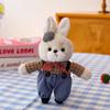 Toy Plush Rabbit Doll Clothes Couple Key Chain Backpack Accessory Gift Birthday