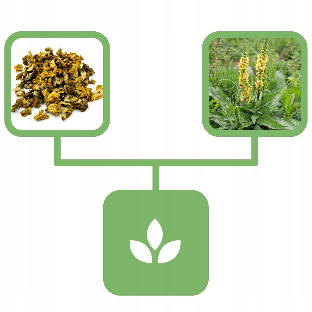Mullein Mullein Flower 50 G Natural Shop