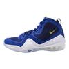Air Penny 5 Blue Chips 537331-402