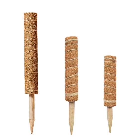 Indoor Climbing Plant Pole Convenient Coir Moss Stick Plant Support for Creepers