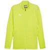 Puma Mens Slim Training Jacket