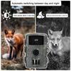 Infrared Outdoor 1080P 2MP Anti-Hunting Waterproof Camera with Induction Detection - Model DL0011