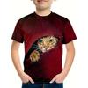Boy's Zipper Cat Graphic Kids's T-shirt Fashion Short Sleeve Tops Boy Girl T-shirt Animal 3D Printed Summer Children's Clothing