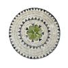 American light luxury ins wind color shell thermal insulation pad, creative shell round placemat, high-end desktop plate mat household tray