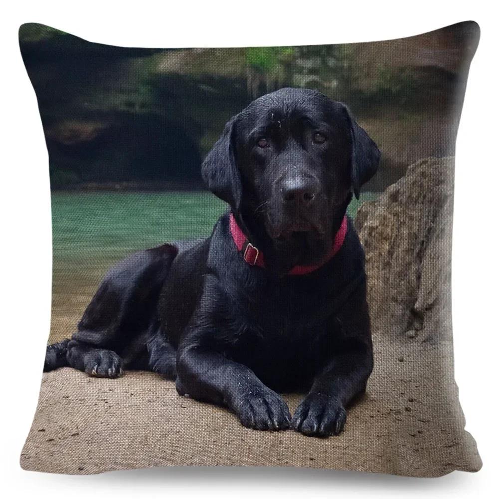 Cute Black Labrador Dog Double-Sided Printed Pillow Cover Short Plush Suitable Living Rooms Bedrooms Sofas Throw Cushion Cover
