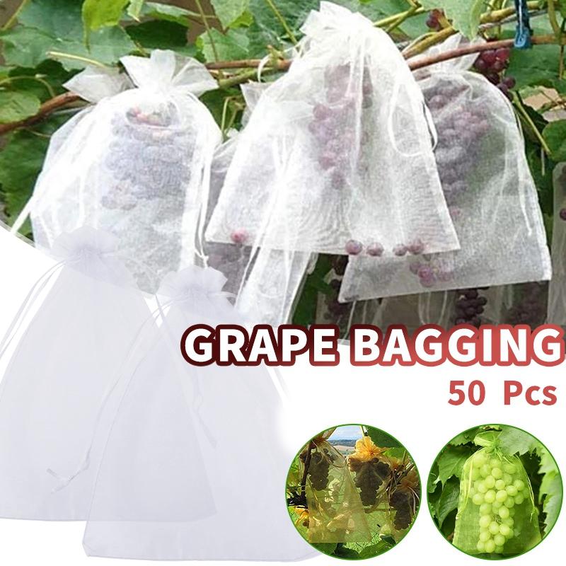 50pcs Fruit Protection Bags Anti-Bird Mesh Bags Grape Insect Proof Bag Garden Netting Strawberry Bags Transparent Mesh Bag