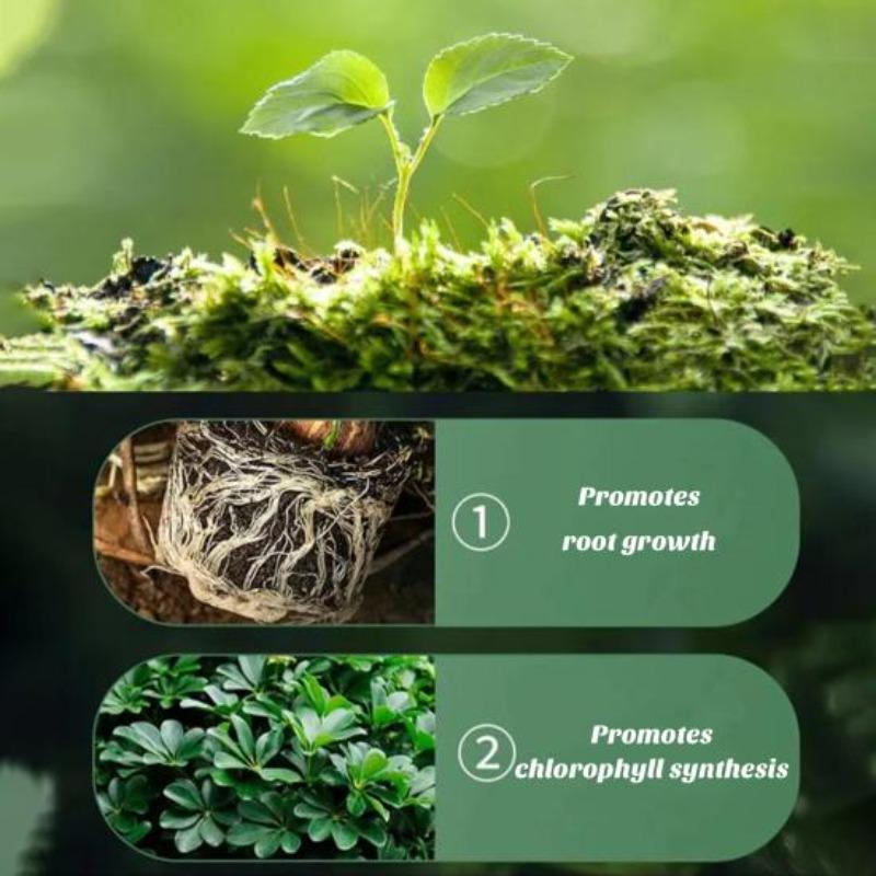 18Pcs Plant Slow-Release Nutrition Stick, Universal Flower Fertilizer, Potted Slow-Release Tablet Fertilizer For Green Plants